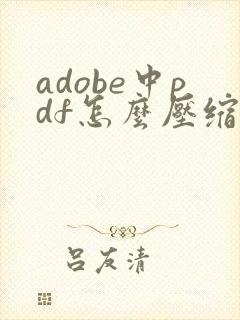 adobe中pdf怎么压缩文件大小