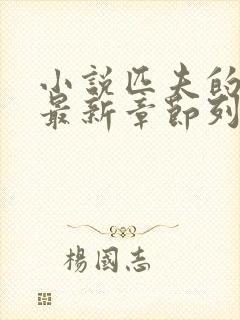 小说匹夫的逆袭最新章节列表