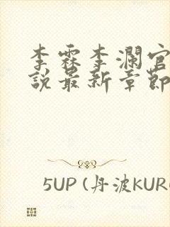 李霖李澜官场小说最新章节