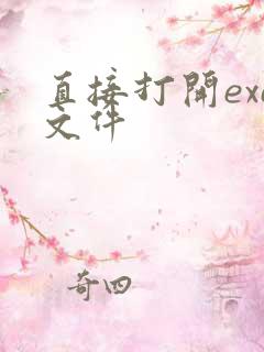 直接打开exe文件