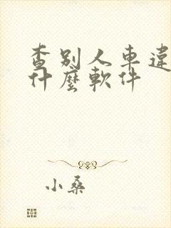 查别人车违章用什么软件