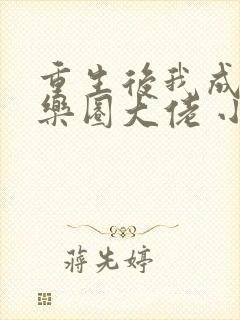 重生后我成了娱乐圈大佬 小说