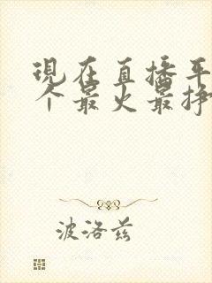 现在直播平台哪个最火最挣钱