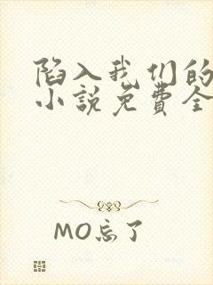 陷入我们的热恋小说免费全本阅读