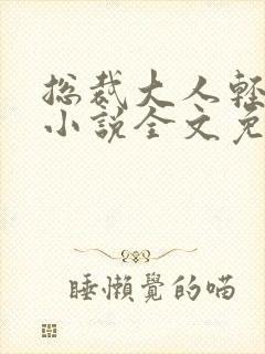 总裁大人轻点儿小说全文免费阅读