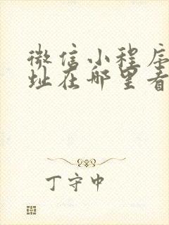 微信小程序的网址在哪里看