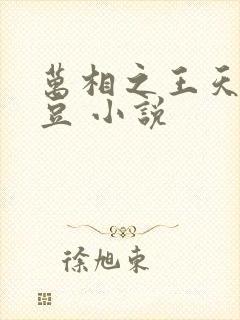 万相之王天蚕土豆 小说