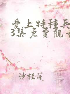 爱上特种兵第23集免费观看