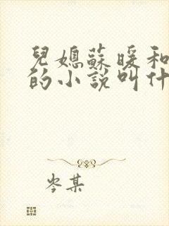 儿媳苏暖和老赵的小说叫什么