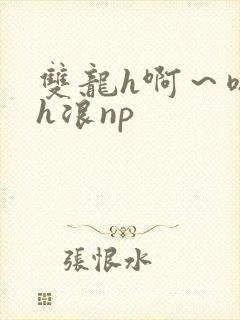 双龙h啊~嗯啊h浪np