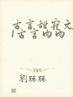 古言甜宠文1v1古言肉肉