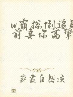 w霸总倒追财阀前妻你高攀不起》