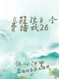 《杀狼》全集免费播放26
