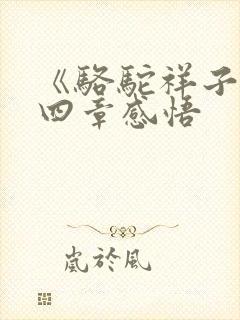 《骆驼祥子》三四章感悟