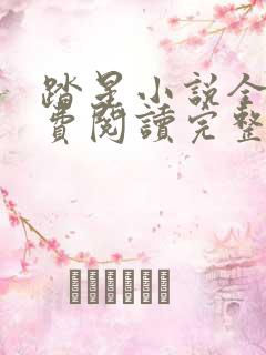 踏星小说全文免费阅读完整版无弹窗