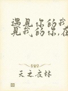 遇见你的我,遇见我的你,在同样的深夜里歌词