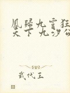 凤归九霄狂妃逆天下 九汐公子