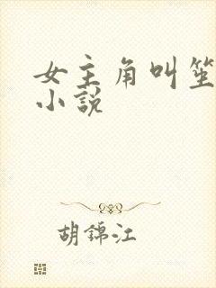 女主角叫笙笙的小说