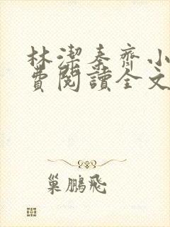 林洁秦齐小说免费阅读全文最新章节