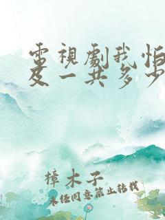 电视剧我怕来不及一共多少集