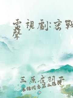 电视剧:密战无声