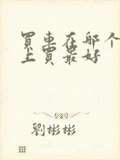 买车在哪个平台上买最好