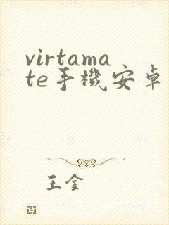 virtamate手机安卓下载