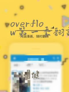 overflow第一季翻译漫画：结局+番外