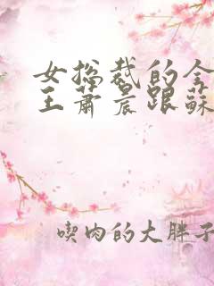 女总裁的全能兵王萧晨跟苏晴