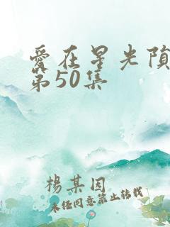 爱在星光陨落后第50集