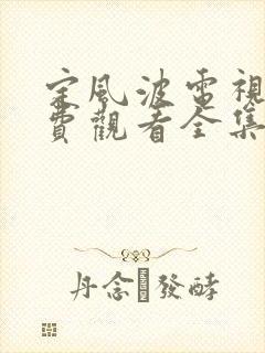 定风波电视剧免费观看全集在线播放