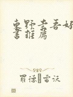 东野圭吾好看的书推荐