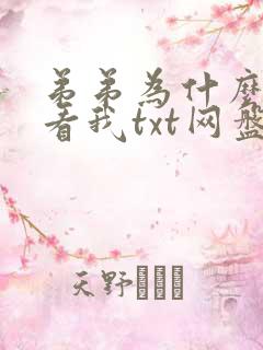 弟弟为什么这样看我txt网盘