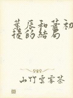 叶辰和萧初然最后的结局