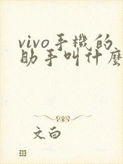vivo手机的助手叫什么