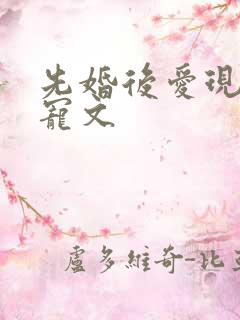 先婚后爱现言甜宠文