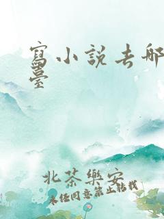 写小说去哪个平台