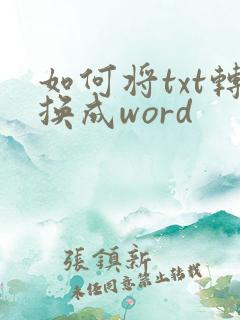 如何将txt转换成word