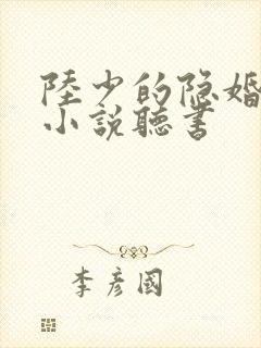 陆少的隐婚罪妻小说听书