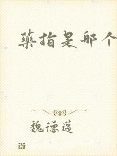 药指是哪个动漫