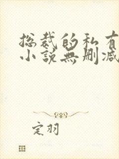 总裁的私有宝贝小说无删减