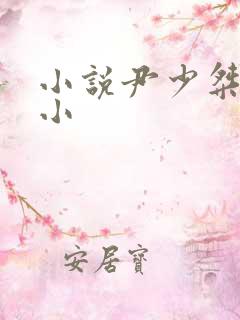小说尹少桀慕小小
