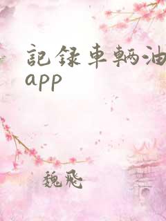 记录车辆油耗的app