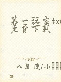 第一玩家txt免费下载