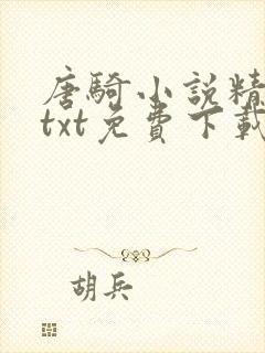 唐骑小说精校版txt免费下载