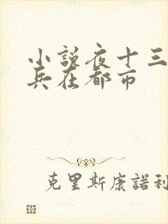 小说夜十三特种兵在都市