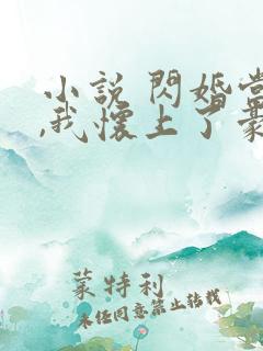 小说 闪婚当天,我怀上了豪门继承人