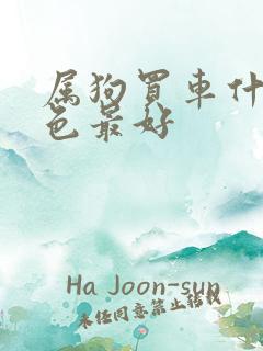 属狗买车什么颜色最好