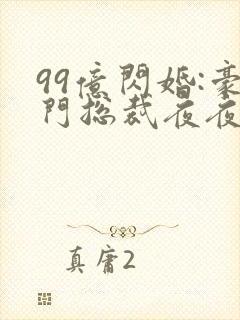 99亿闪婚:豪门总裁夜夜忙