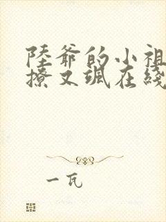 陆爷的小祖宗又撩又飒在线阅读